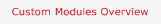Custom Modules Overview